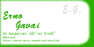 erno gavai business card